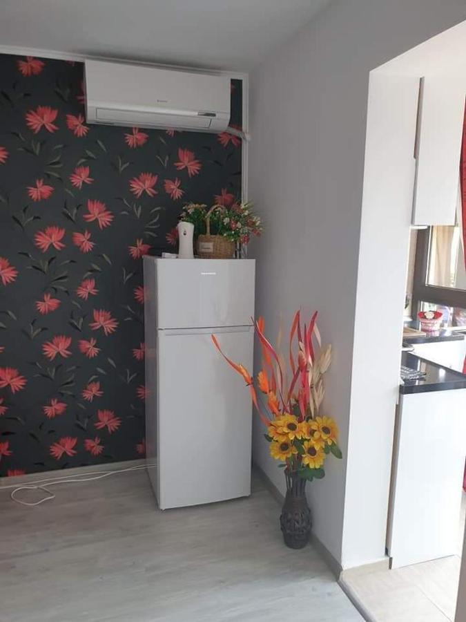 Apartament Alina Saturn Extérieur photo