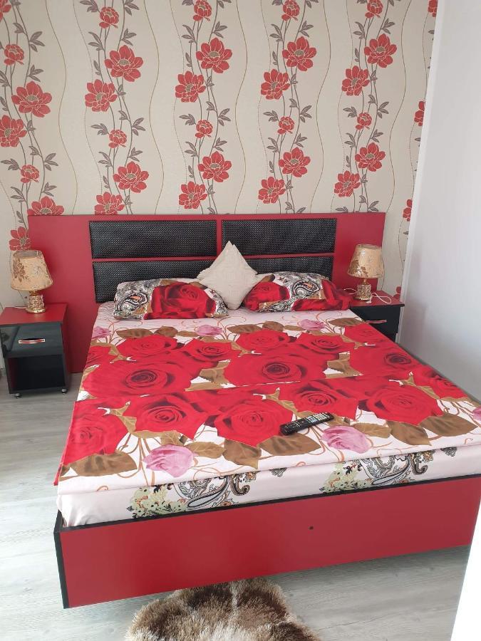 Apartament Alina Saturn Extérieur photo