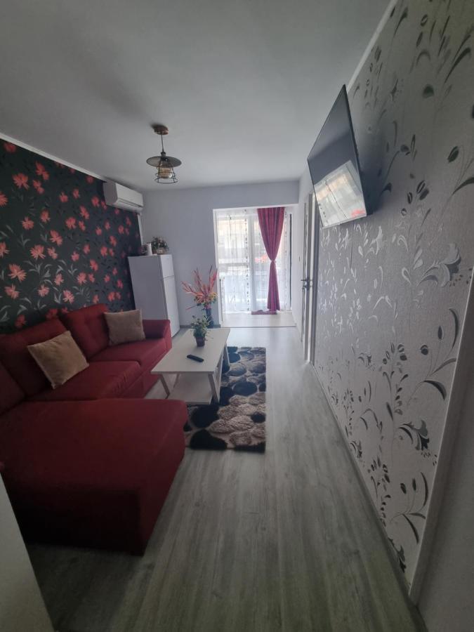 Apartament Alina Saturn Extérieur photo
